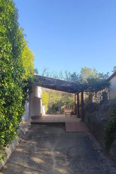 Maison 5 chambres avec piscine privée à Carvoeiro : photo 38