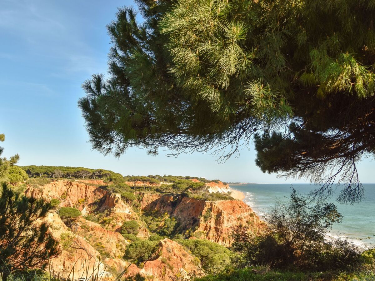 Studio Falésia avec terrasse et 2 piscines à Albufeira - Photo 30
