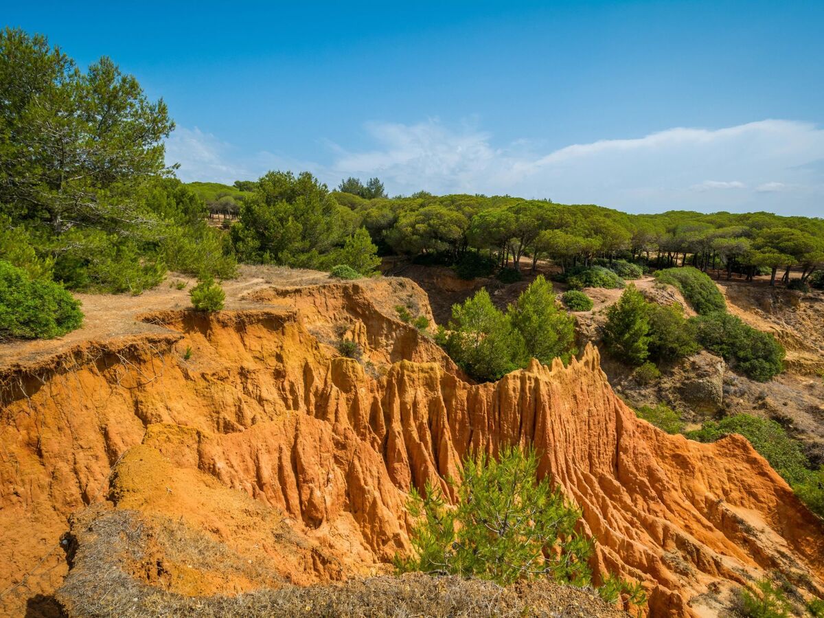 Studio Falésia avec terrasse et 2 piscines à Albufeira - Photo 35