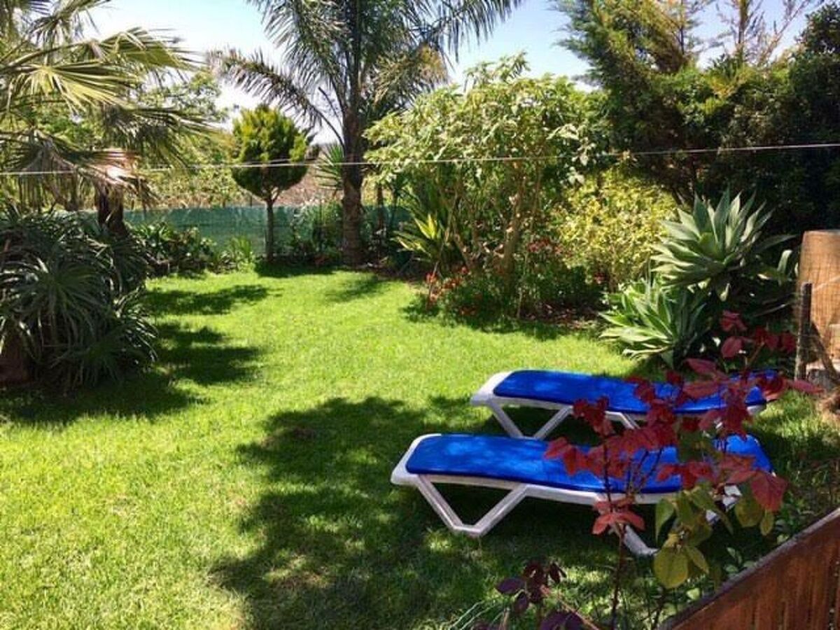 Maison typique Algarve 4 pers., jardin privé à Algoz - Photo 1
