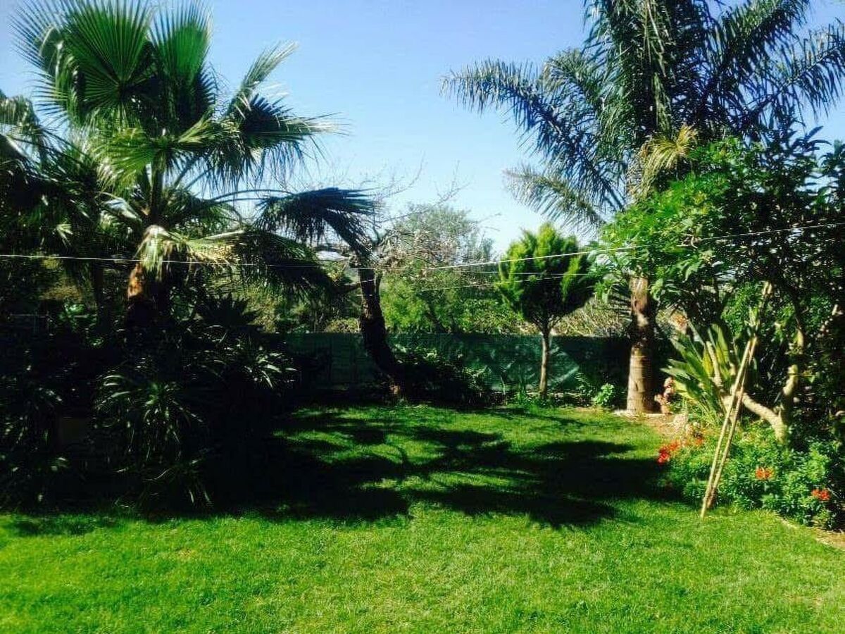 Maison typique Algarve 4 pers., jardin privé à Algoz - Photo 22