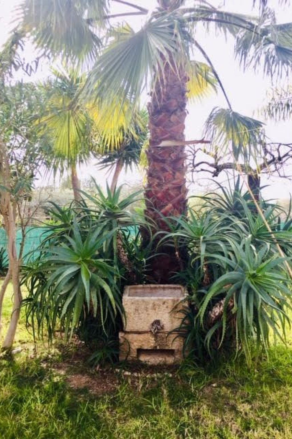 Maison typique Algarve 4 pers., jardin privé à Algoz - Photo 23