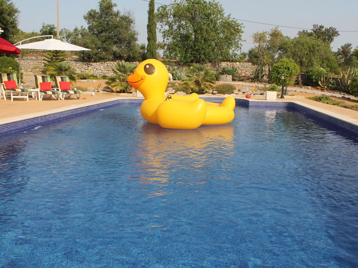 Villa 4 chambres avec piscine et vue sur la mer - Photo 11