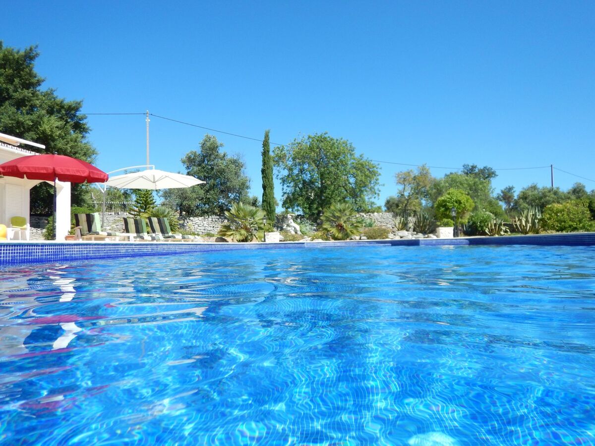 Villa 4 chambres avec piscine et vue sur la mer - Photo 12