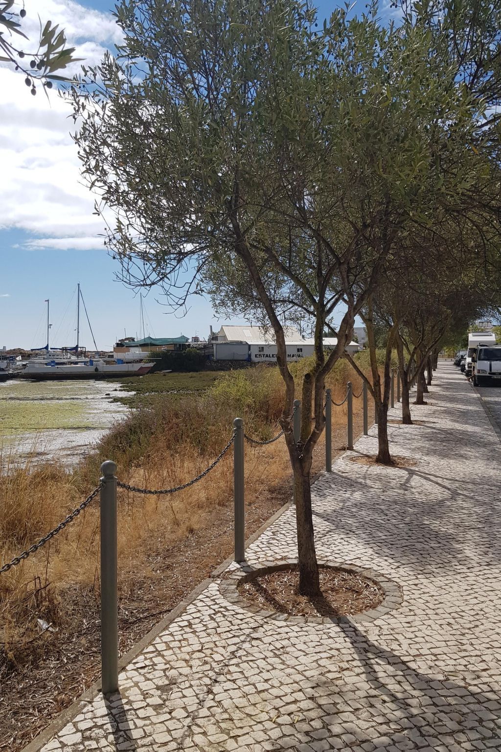 Estrelinha da Fuzeta – Appart 2 chambres vue Ria Formosa - Photo 20