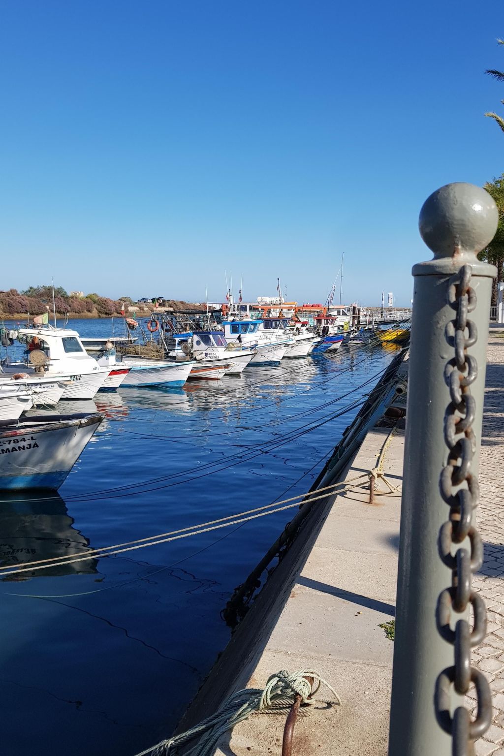 Estrelinha da Fuzeta – Appart 2 chambres vue Ria Formosa - Photo 23