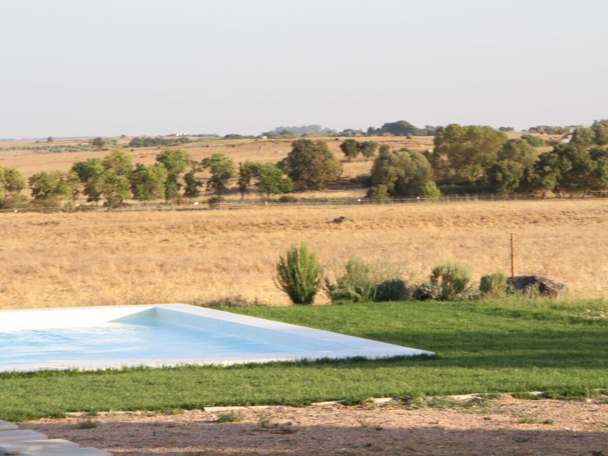 Maison rurale 10 pers., piscine privée sur 140 ha - Photo 15