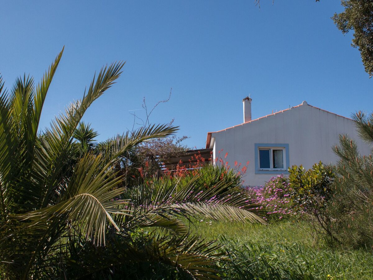 Casa Passaro – Villa écologique 5 pers., Santiago do Cacém - Photo 14