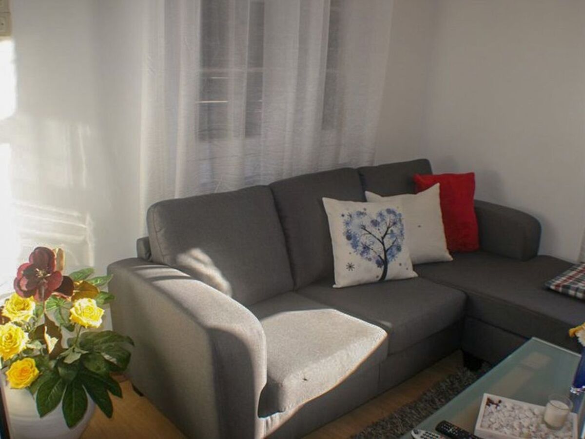 Appartement fermette à Arco da Calheta, jardin tropical - Photo 4