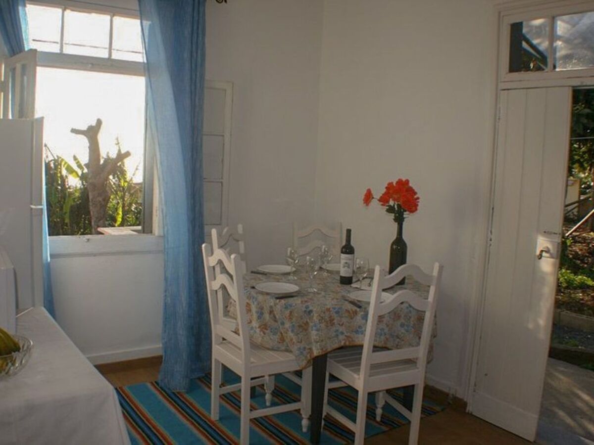 Appartement fermette à Arco da Calheta, jardin tropical - Photo 10