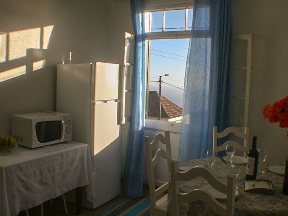Appartement fermette à Arco da Calheta, jardin tropical - Photo 11