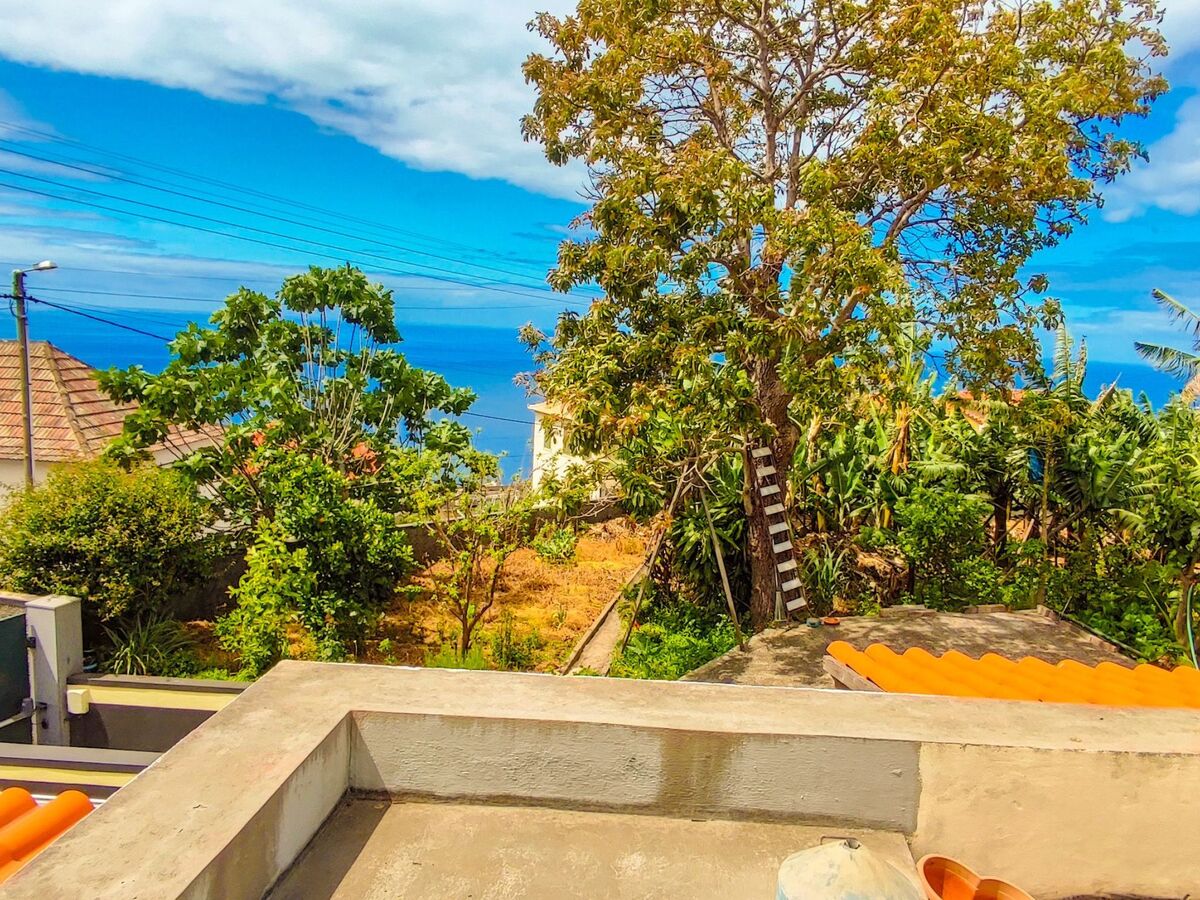 Appartement fermette à Arco da Calheta, jardin tropical - Photo 17