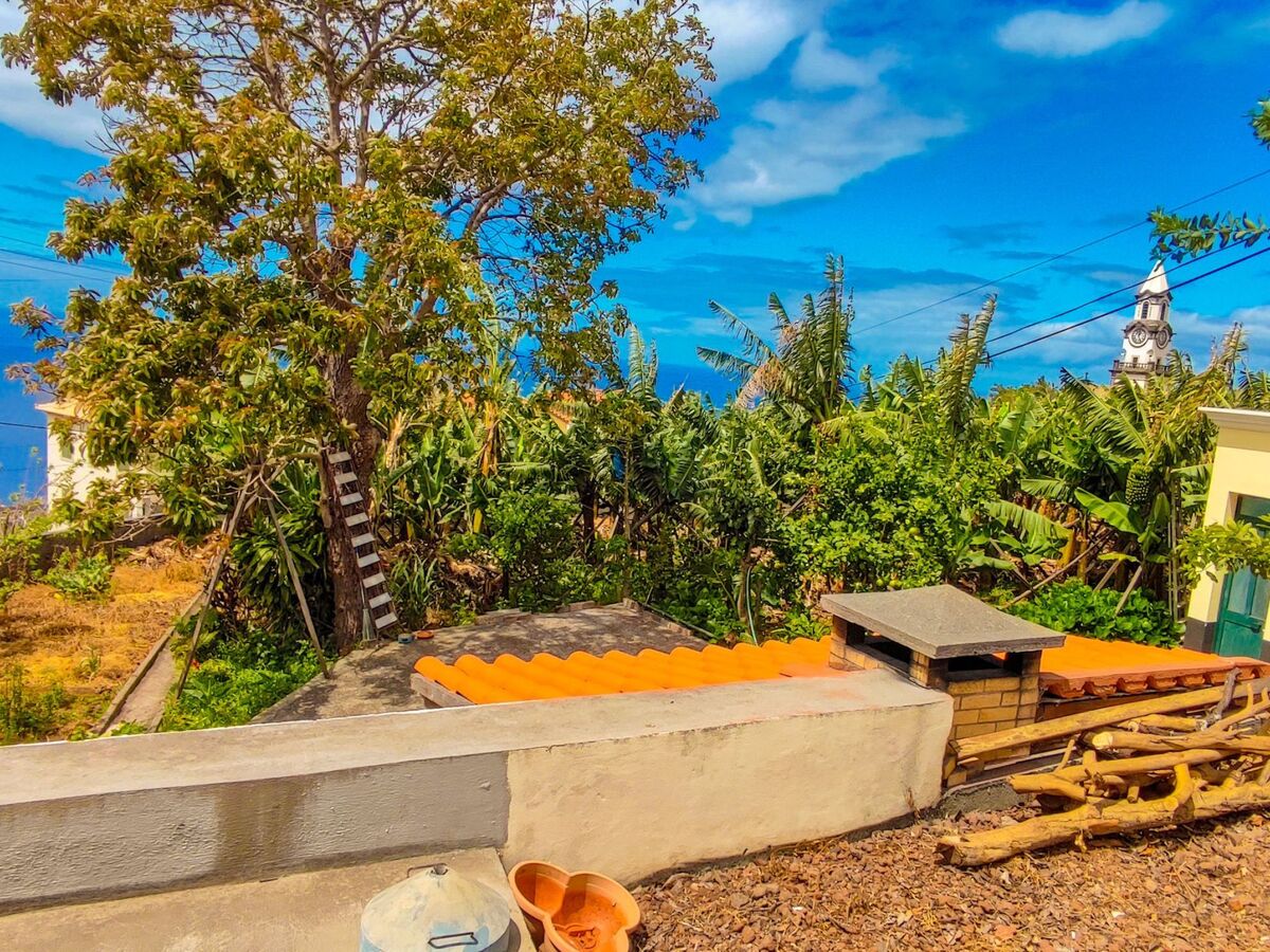 Appartement fermette à Arco da Calheta, jardin tropical - Photo 18