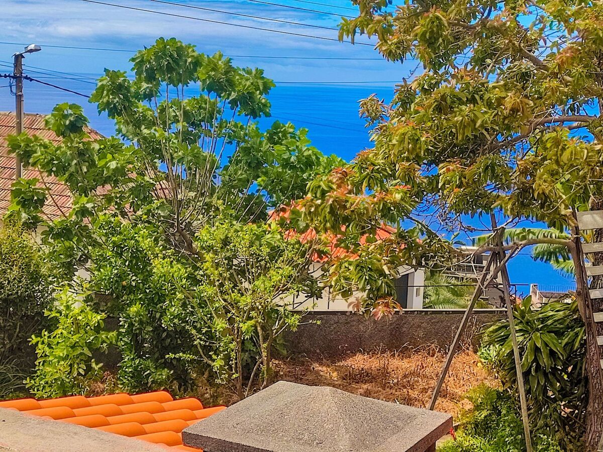 Appartement fermette à Arco da Calheta, jardin tropical - Photo 19