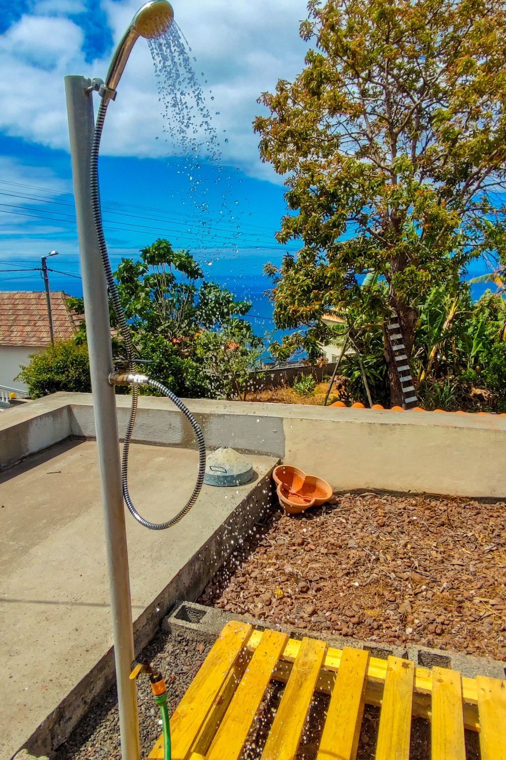 Appartement fermette à Arco da Calheta, jardin tropical - Photo 22