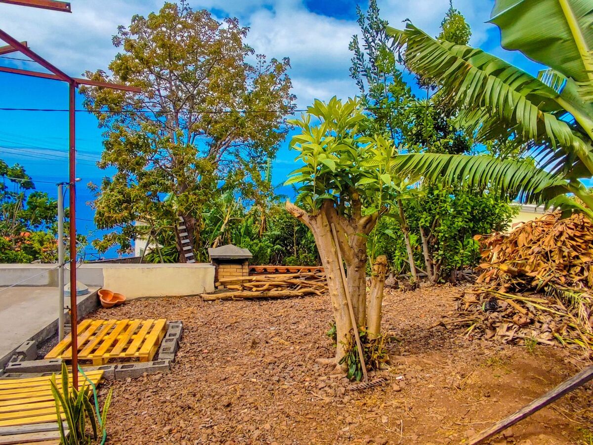 Appartement fermette à Arco da Calheta, jardin tropical - Photo 23