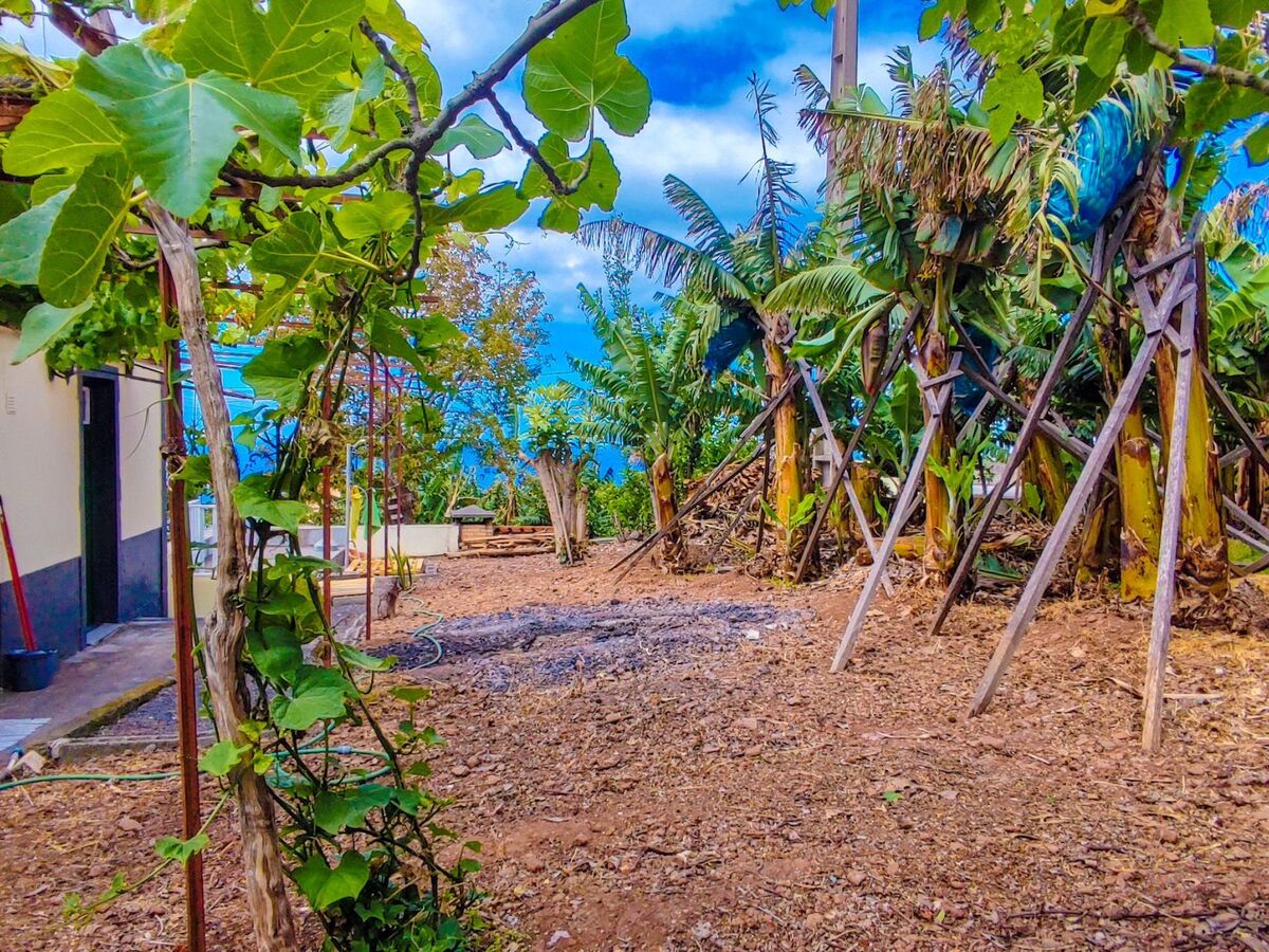 Appartement fermette à Arco da Calheta, jardin tropical - Photo 24