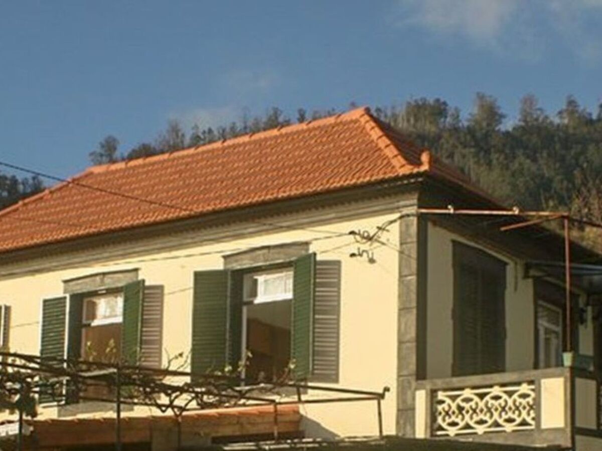 Appartement fermette à Arco da Calheta, jardin tropical - Photo 35