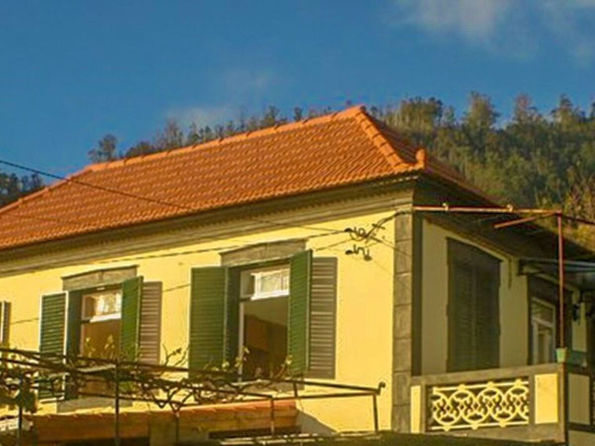 Appartement fermette à Arco da Calheta, jardin tropical - Photo 36
