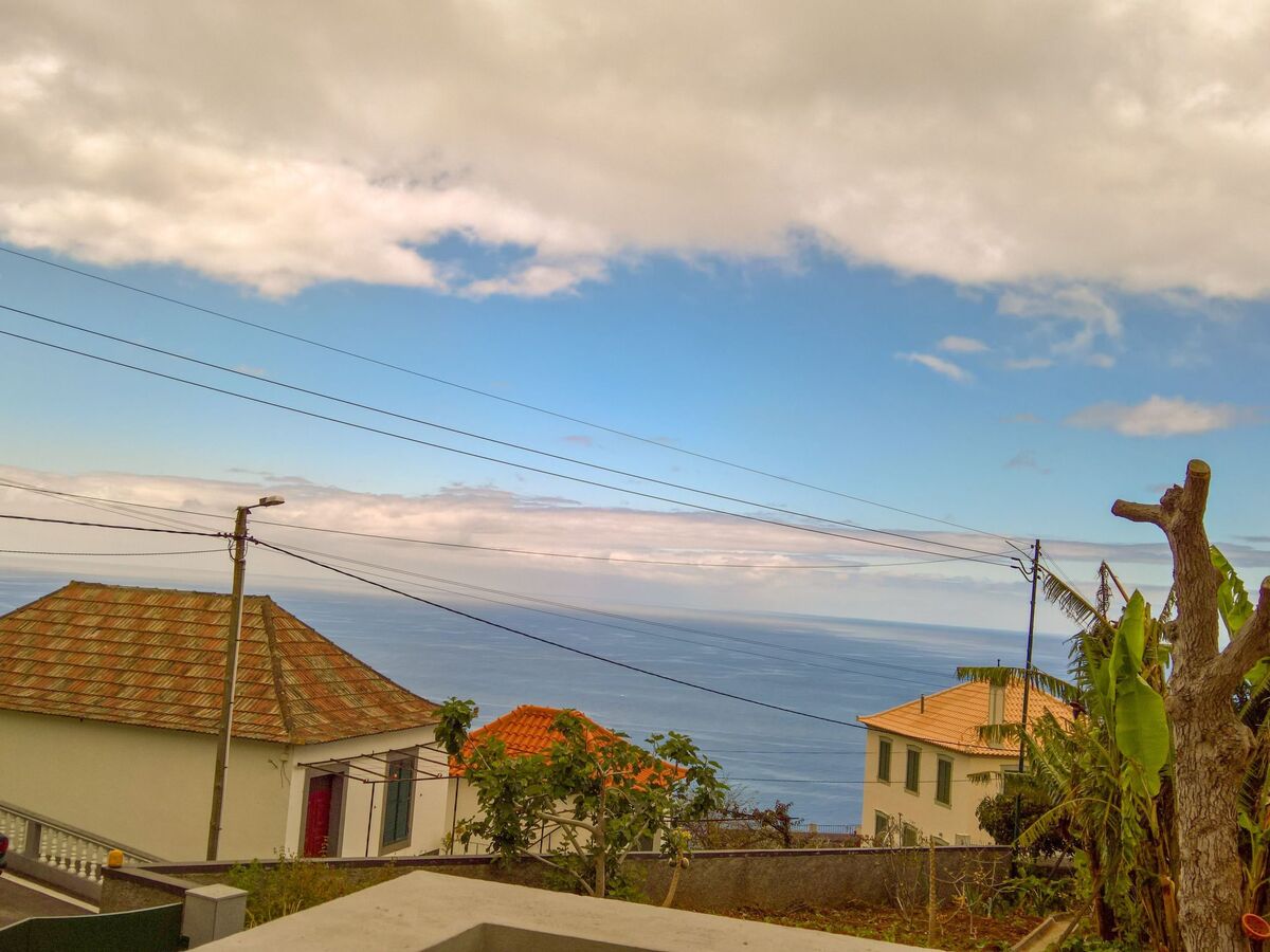 Appartement fermette à Arco da Calheta, jardin tropical - Photo 43