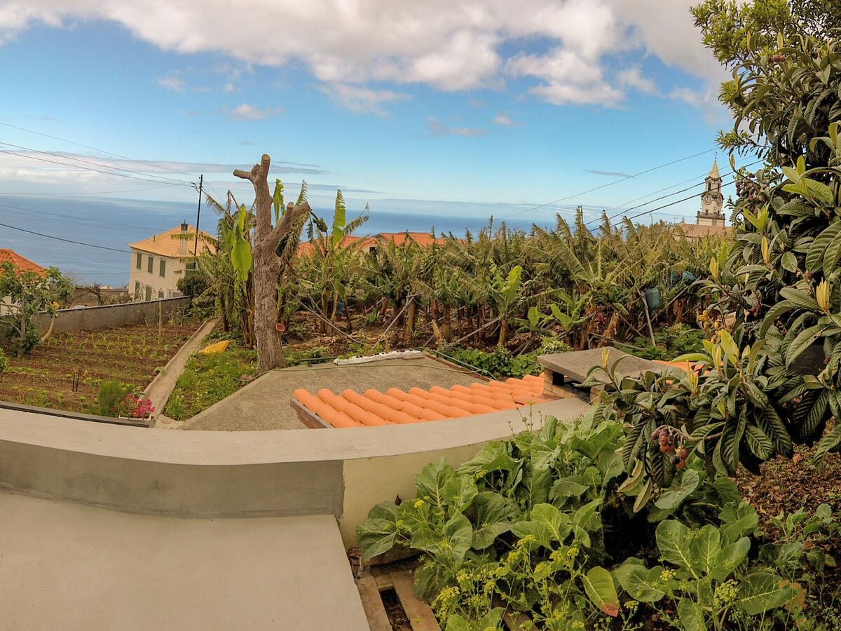 Appartement fermette à Arco da Calheta, jardin tropical - Photo 44