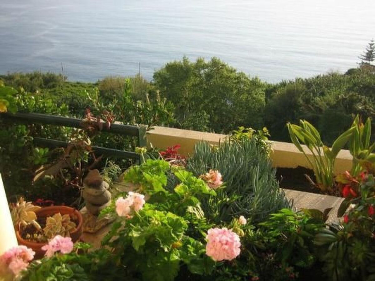 Penthouse avec vue panoramique mer à Arco da Calheta - Photo 5