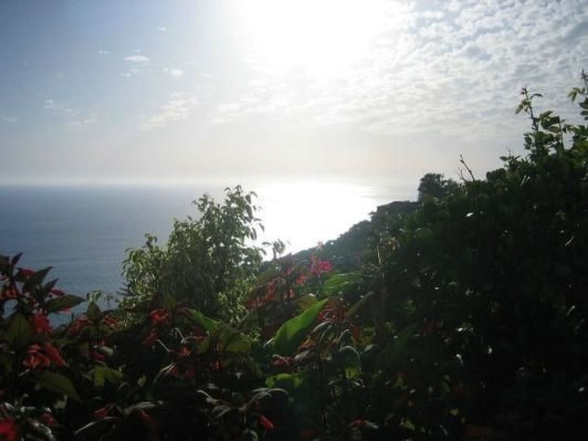 Penthouse avec vue panoramique mer à Arco da Calheta - Photo 18