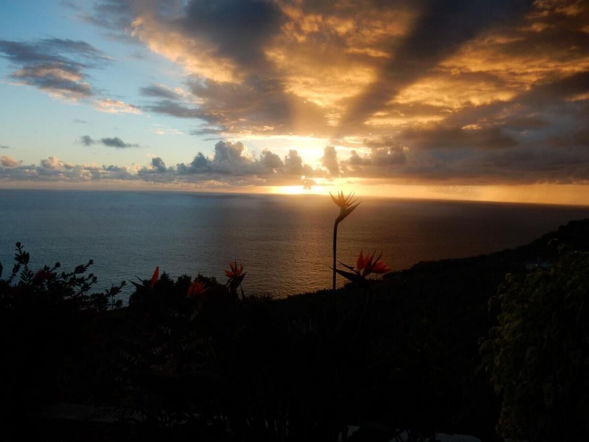 Penthouse avec vue panoramique mer à Arco da Calheta - Photo 19