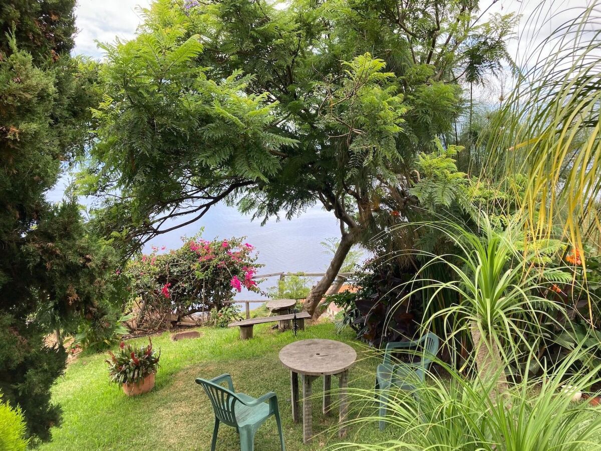 Maison en bois à Canhas avec vue mer et jardin - Photo 6