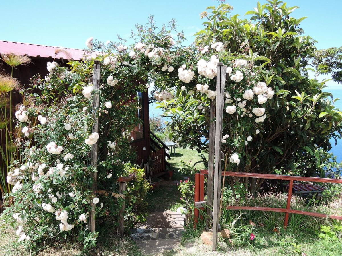 Maison en bois à Canhas avec vue mer et jardin - Photo 18