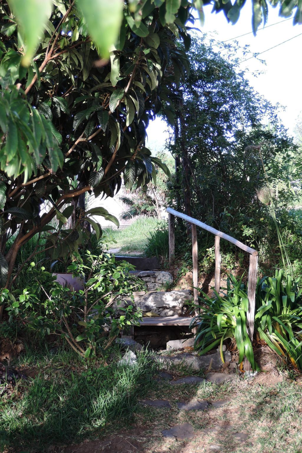 Maison en bois à Canhas avec vue mer et jardin - Photo 20