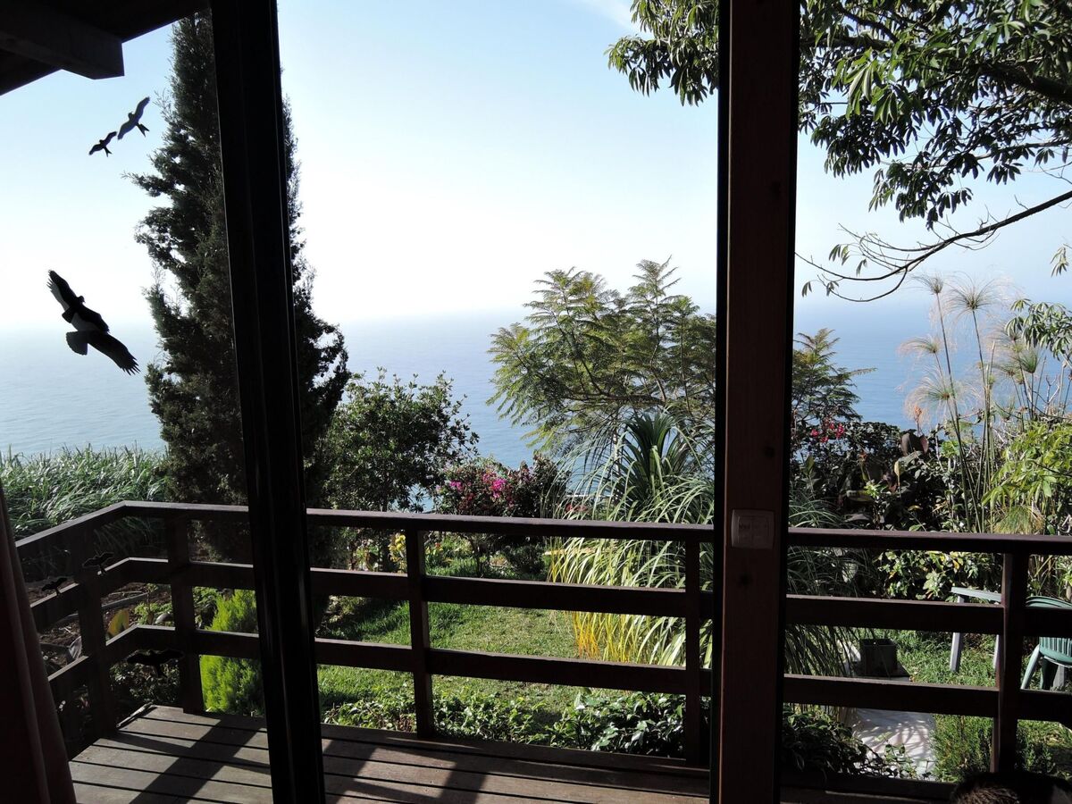Maison en bois à Canhas avec vue mer et jardin - Photo 21