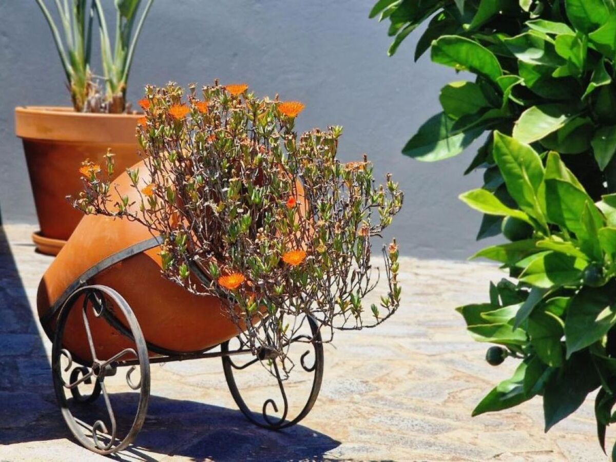Casa Laranja – Maison 2 chambres avec terrasse à Campanário - Photo 9