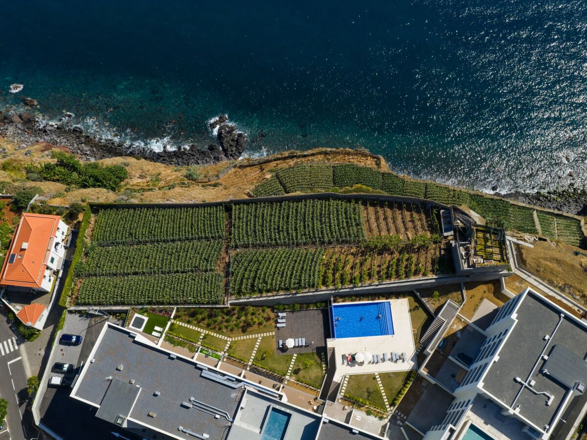 Atlantic Nest by HRM – Appartement avec vue mer à Câmara de Lobos - Photo 22