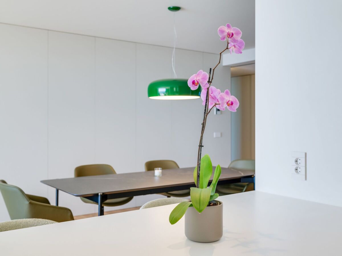 Appartement Savoy Monumentalis, vue océan à Funchal - Photo 15