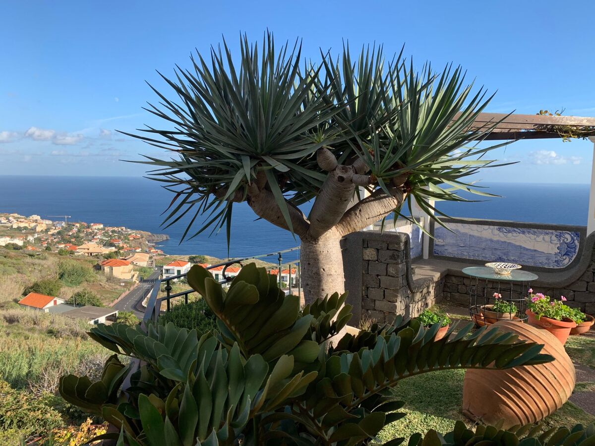 Villa Tagys à Caniço : maison 3 chambres vue mer et terrasse - Photo 32