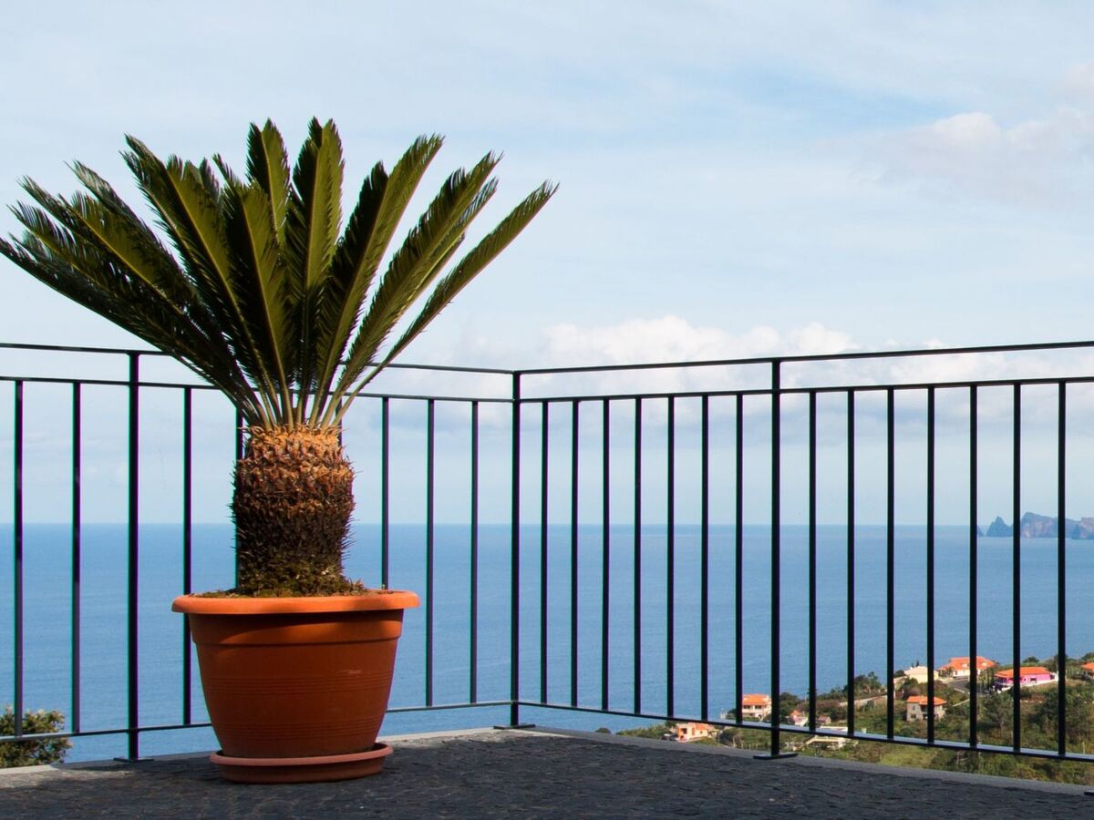 Vivenda Fortim : maison vue mer à Santana - Photo 8