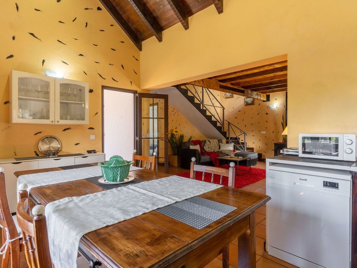 Maison traditionnelle au toit de chaume à Santana - Photo 12