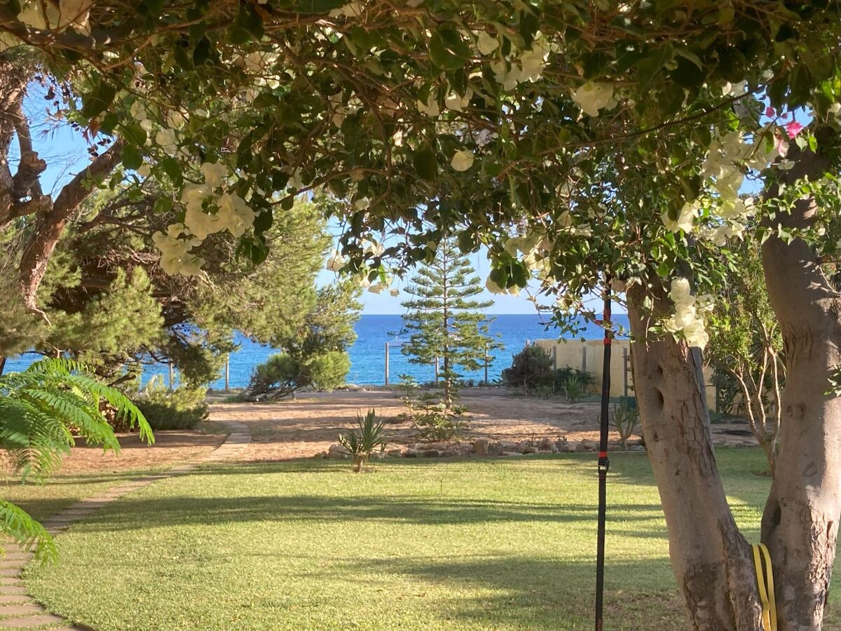 Studio en front de mer à Porto Santo avec jardin - Photo 1
