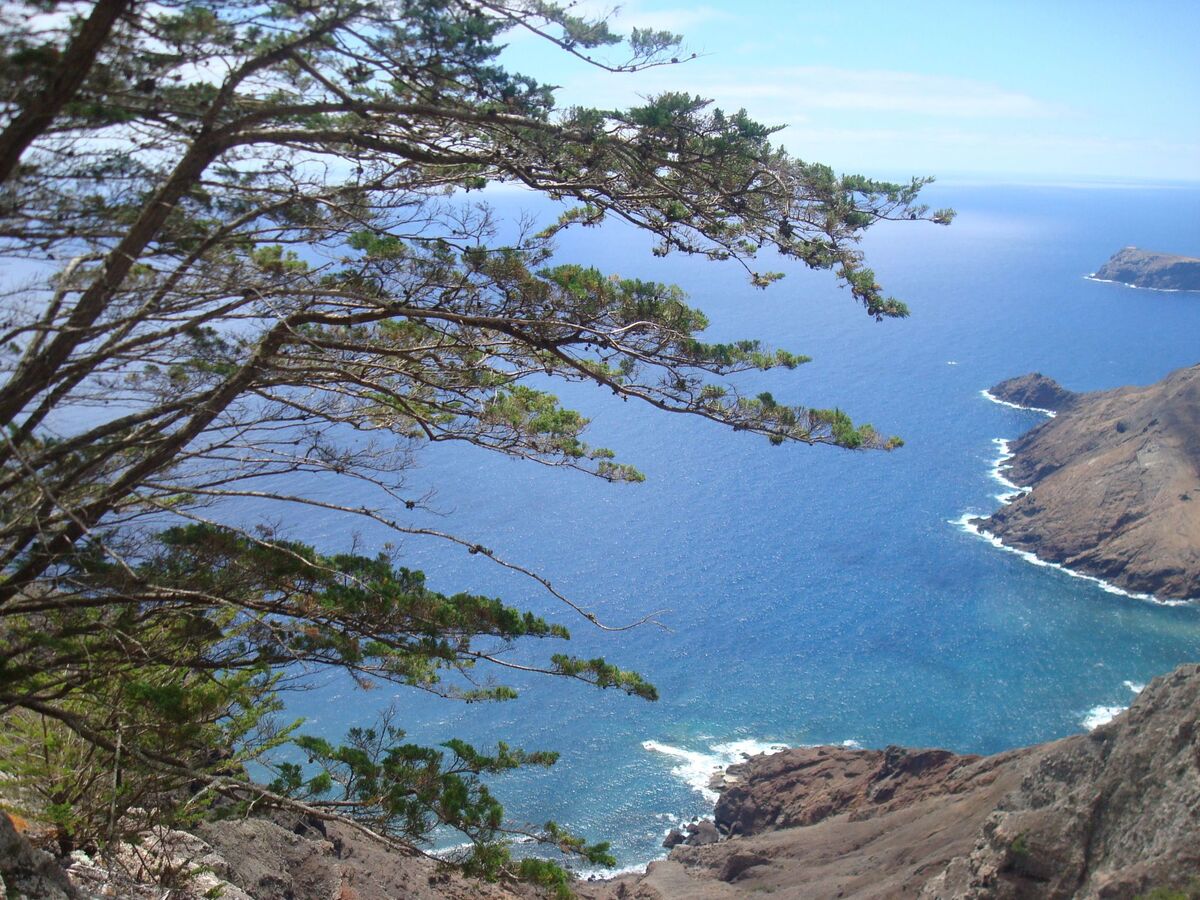 Studio en front de mer à Porto Santo avec jardin - Photo 14