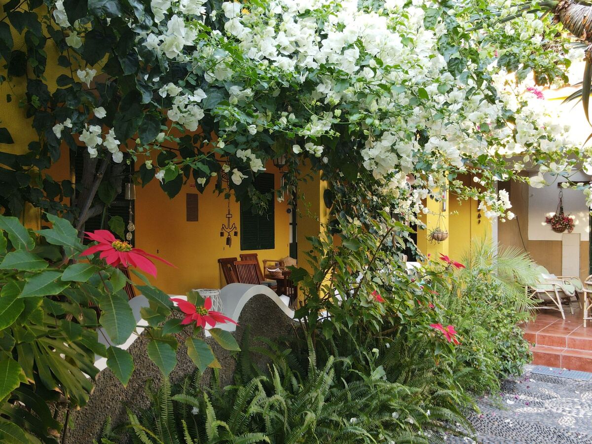 Ines – Maison 9 pers. plage Porto Santo - Photo 3