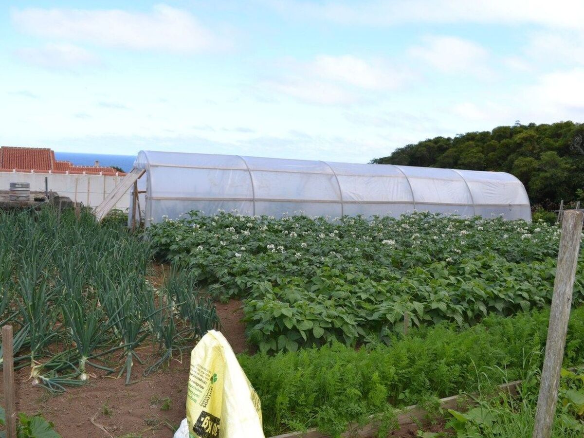 Maison vignoble avec vue mer à Cabo da Praia - Photo 15