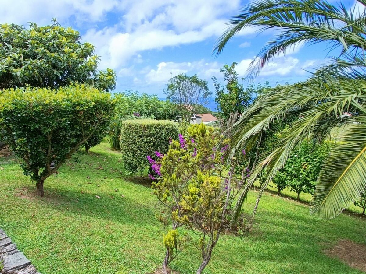 Casa da Talha, maison rurale aux Açores - Photo 17
