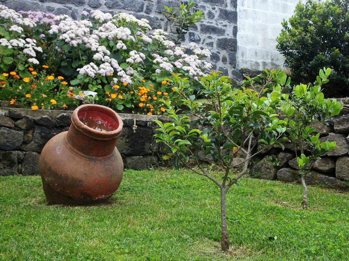 Casa da Talha, maison rurale aux Açores - Photo 25
