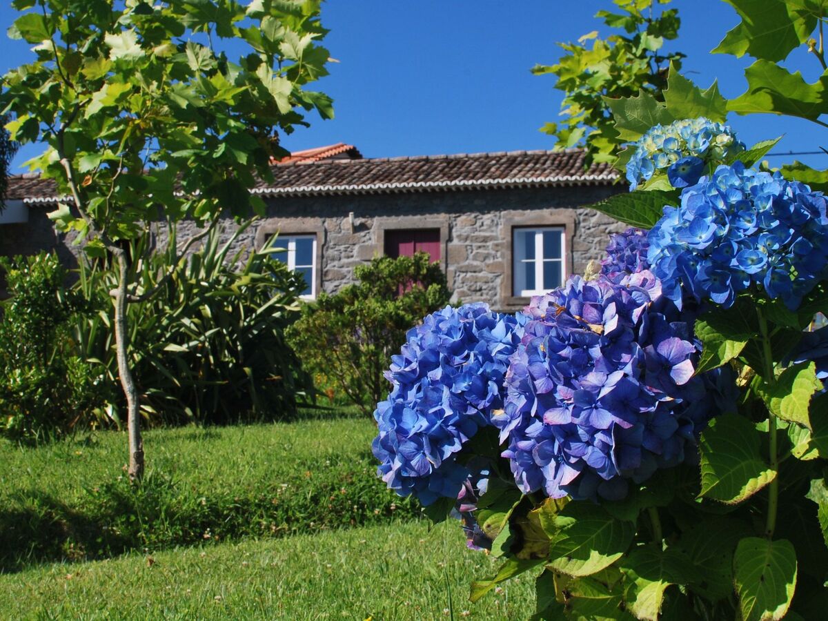 Casa da Fonte – Maison historique aux Açores - Photo 2