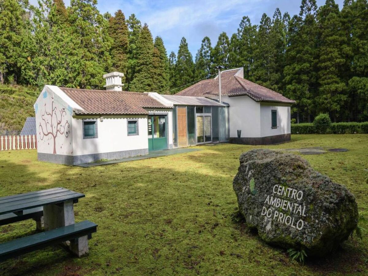 Maison Nordeste aux Açores, jardin partagé à 2 km de la mer - Photo 10