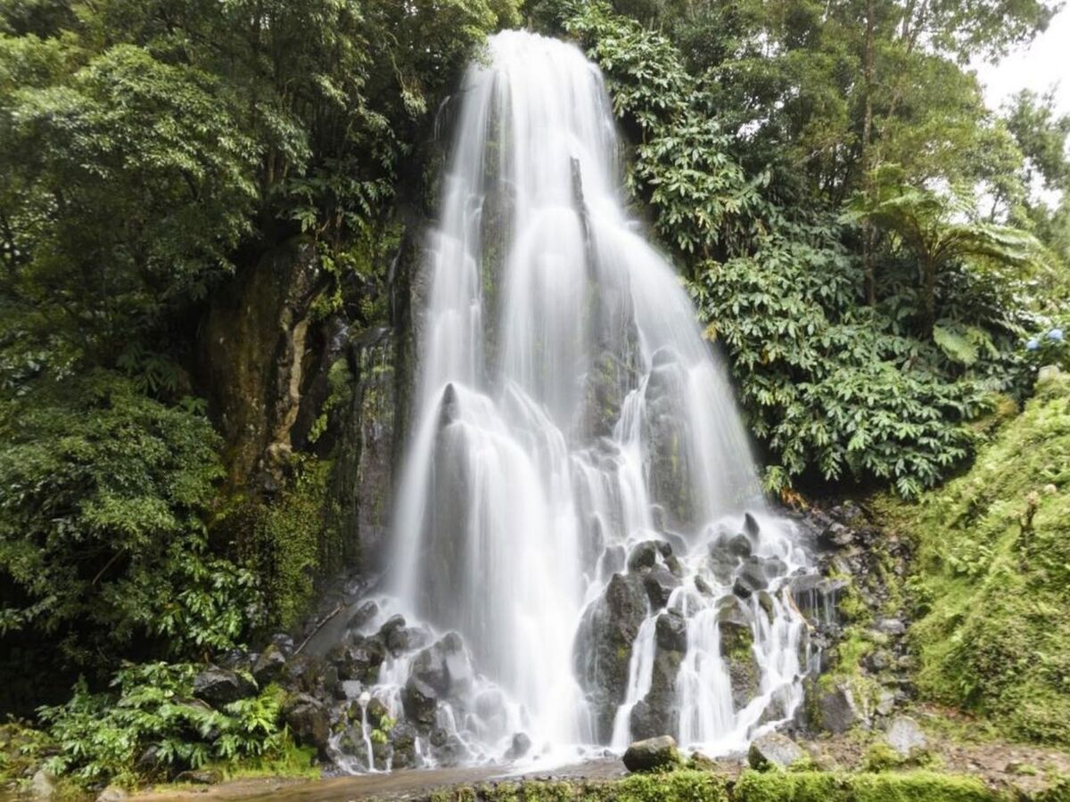 Maison Nordeste aux Açores, jardin partagé à 2 km de la mer - Photo 11