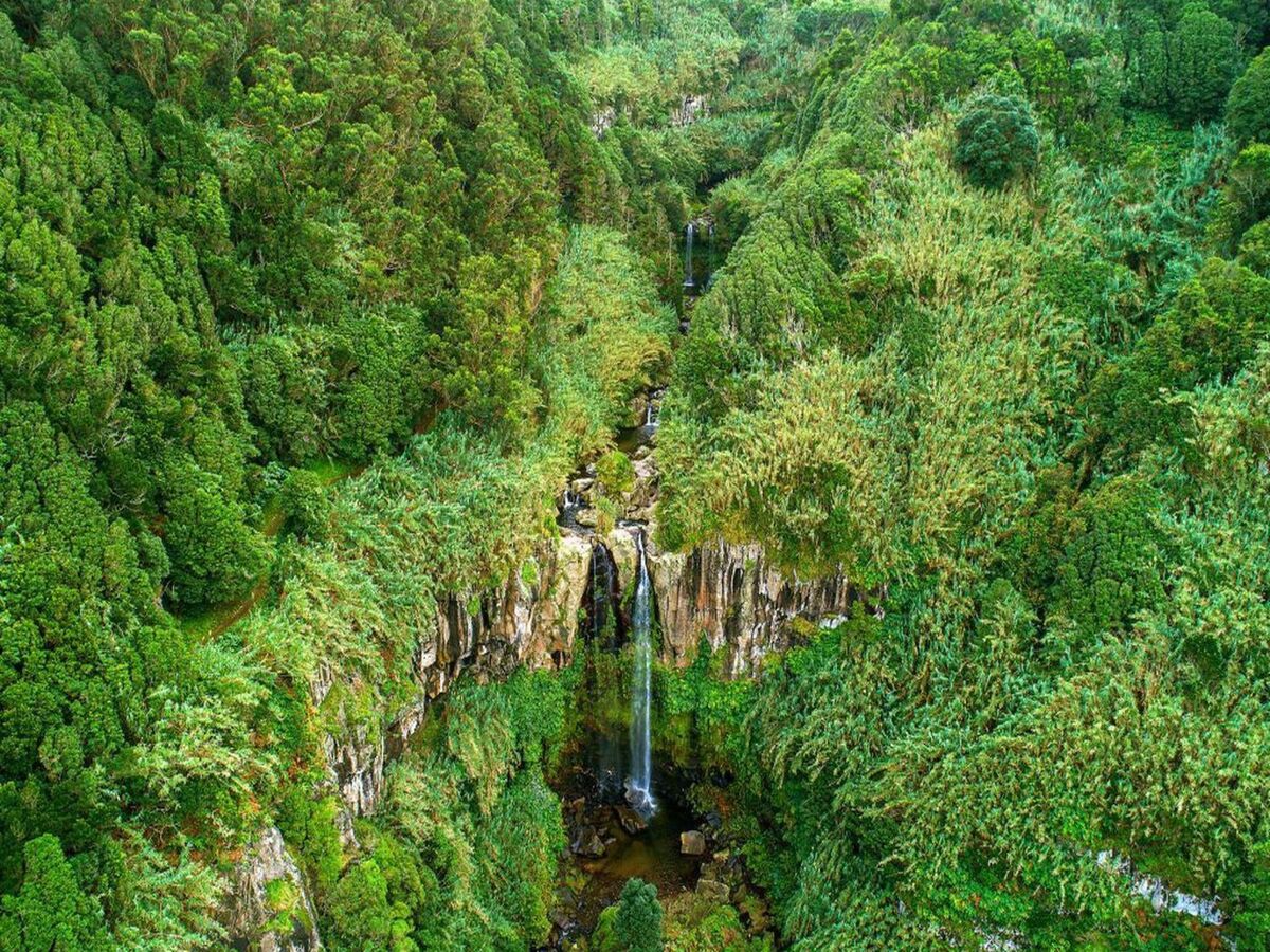 Maison Nordeste aux Açores, jardin partagé à 2 km de la mer - Photo 14