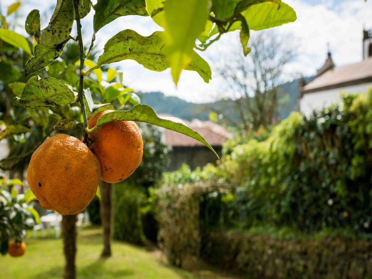 Maison typique Furnas, à 190m du Parque Terra Nostra - Photo 22