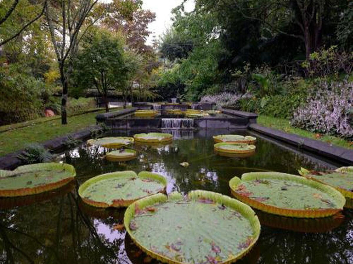 Maison typique Furnas, à 190m du Parque Terra Nostra - Photo 36
